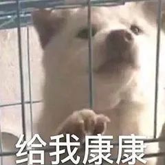 吃鸡辅助